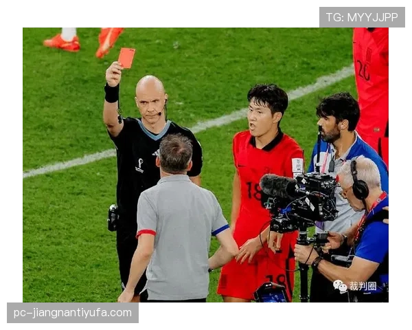 恶意犯规判罚标准揭秘：裁判如何界定“蓄意伤人”？