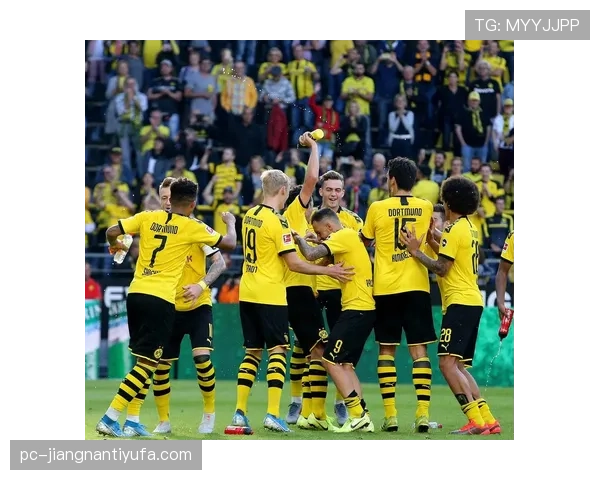 伊萨克在多特蒙德的战术适配困境与技术转型瓶颈