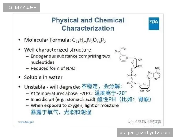 穆西亚拉大赛稳定性与关键战作用解析