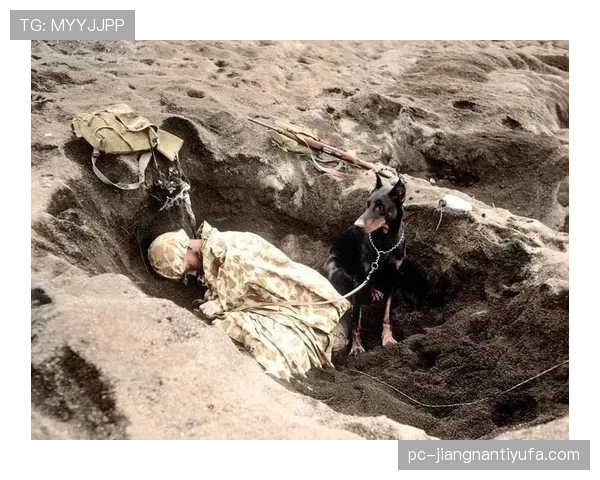 萨卡边路爆破主导强强对话,持续压制对手防线 萨卡边路爆破主导强强对话,持续压制对手防线